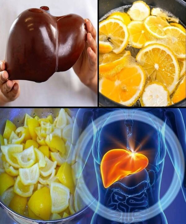 Search Results for: What Happens to Your Body When You Drink Lemon Water? 17 Amazing Benefits