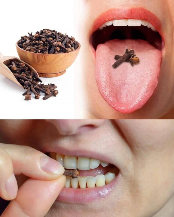 Chewing Cloves Daily: A Tiny Habit with Massive Health Benefits