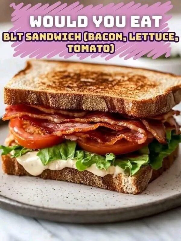 Search Results for: BLT Sandwich