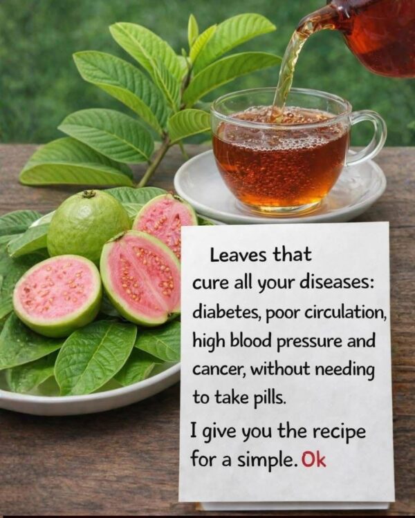 Natural Leaves That May Help Support Healthy Blood Sugar Levels