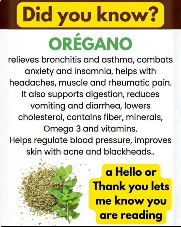 Oregano (Orejón): Powerful Medicinal Herb Benefits, Uses, and Truth You Need to Know